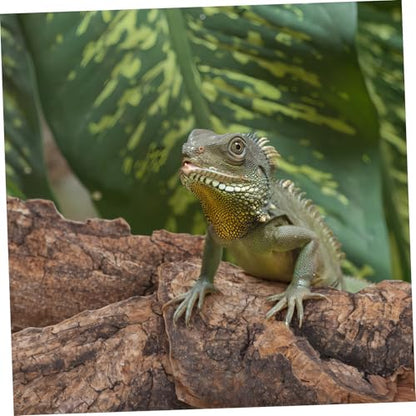 Yardwe 14Pcs Natural Cork Bark Reptile Hideout and Climbing Platform Multi-Functional Habitat Decor for Bearded Dragon Gecko Snake Terrarium Accessories