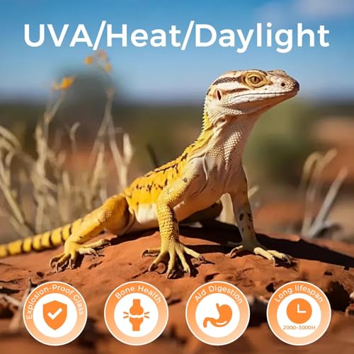 Reptile Heat Lamp 100W, Intense UVA Basking Light Bulbs, Flat-Base Heat Emitter, Heat Lamp Bulb for Reptile Chick 2 Pack - style: Natural Basking Light Bulb 100W