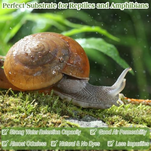 Halatool 1.1LB Sphagnum Moss for Reptiles(Turtles, Geckos, Snakes, Frogs, Hamsters), Natural Forest Long Fibered Dried Moss Bulk for Reptiles Substrate & Bedding - 25QT Reptile Habitat Accessories - size: 1.1 LB