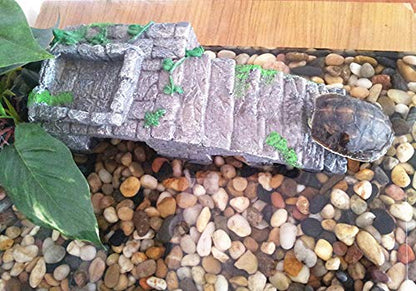 Reptile Breeding Box Shelter Habitat Decor Terrarium Hideout Turtle Basking Ramp Water Bowl Feeding Humidify Hide Caves - size: S