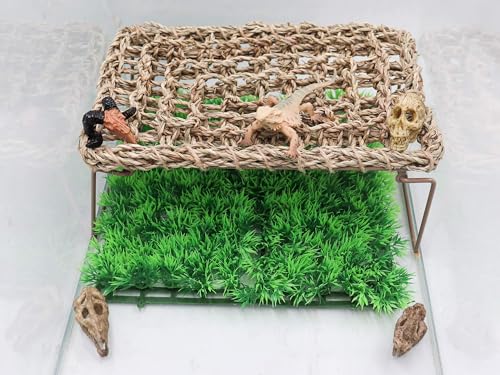 Oooct 8 Pcs Mini Animal Skull Statues - Realistic Resin Skeleton Head Decor for Reptile Habitat, Aquarium, Terrarium Tank Accessories for Bearded Dragons, Geckos, Lizards, Halloween Christmas Crafts
