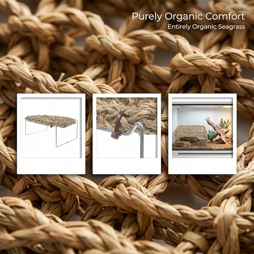 COLLBATH Bearded Dragon Hammock and Reptile Lounger with Natural Seagrass Basking Platform, Small Rectangle Pet Bed for Lizards, Geckos, and Frog Tank Habitat