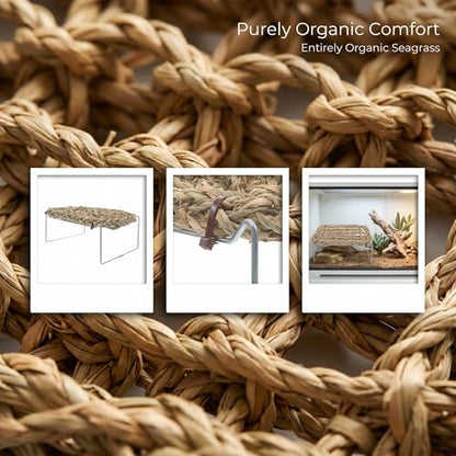 COLLBATH Bearded Dragon Hammock and Reptile Lounger with Natural Seagrass Basking Platform, Small Rectangle Pet Bed for Lizards, Geckos, and Frog Tank Habitat