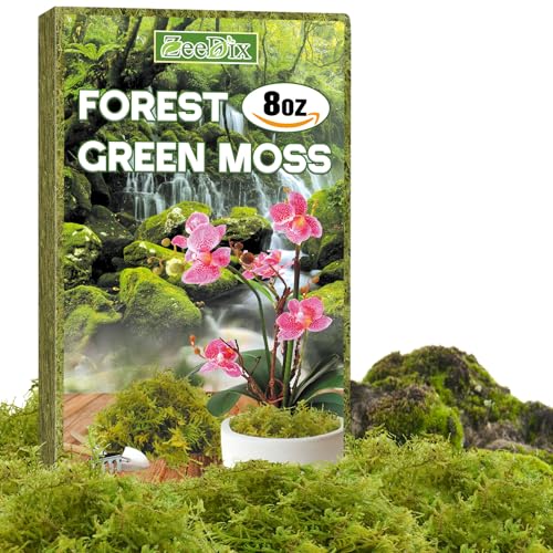 ZeeDix Sphagnum Moss for Plants Indoor, 8 oz Dried Orchid Moss, Natural Green Soil Amendment for Repotting Monstera & Succulents (Expands to 12 qt) - color: 8oz