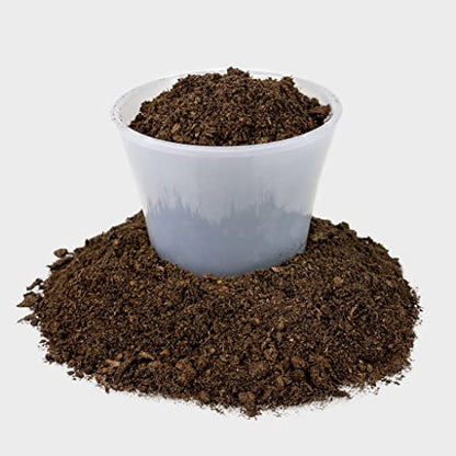 Premium Natural Sphagnum Peat Moss - Gardening Soil Amendment and Carnivorous Plant Soil Media by Gardenera (1 Quart Bag) - color: PEAT MOSS, size: 1 Quart