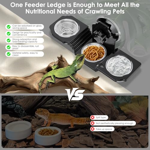 Crested Gecko Feeding Ledge with 6 PVC Cups -Strong Suction Reptile Food Dish for Leopard Geckos, Spiders,Lizard,Snail & Small Birds - Space-Saving Terrarium Habitat Feeder Easy to Clean