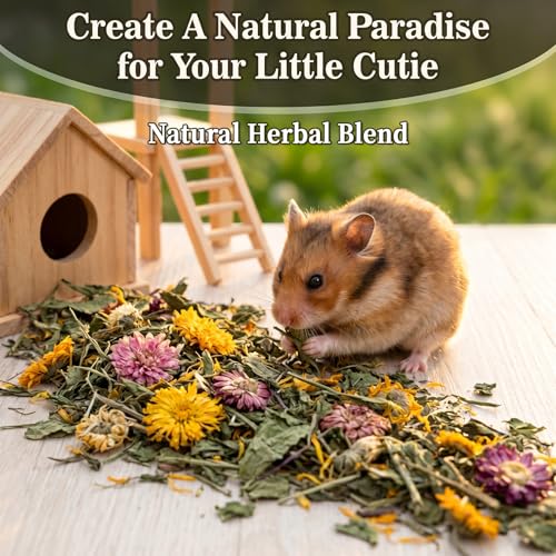 RAINFLOW Dandelion Delicacy for Small Pets – 6oz Natural Dried Dandelion & Herb Blend for Rabbits, Guinea Pigs, Hamsters & Chinchillas, High Fiber Forage Snack for Feeding and Enrichment