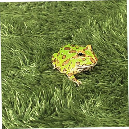2pcs Natural-Looking Reptile Mats Simulated Moss Carpets for Climbing Pets Moisturizing Fake Lawn for Terrariums Safe and Absorbent Bedding for Turtles and Frogs