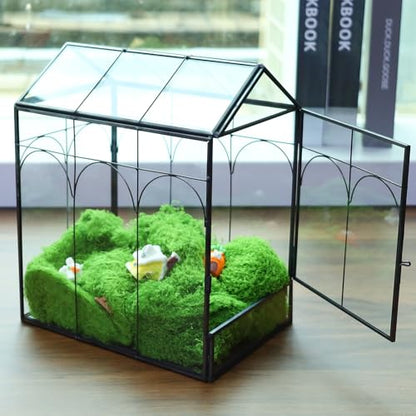 HighFree Geometric Plant Terrarium with Lid, House Succulent Terrarium Kit for Succulents Cacti Snail, Home Tabletop Miniature Terrarium (Black with Side Door) - color: Black With Side Door