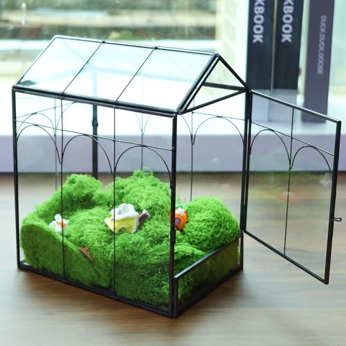 HighFree Geometric Plant Terrarium with Lid, House Succulent Terrarium Kit for Succulents Cacti Snail, Home Tabletop Miniature Terrarium (Black with Side Door) - color: Black With Side Door