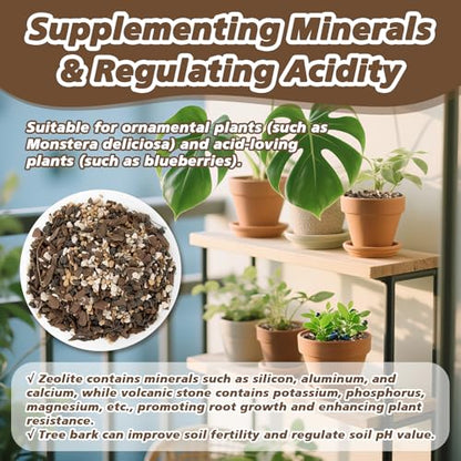 Sukh 14.5 OZ Succulent Potting Mix - Pre-Mixed Ready to Use Bonsai & Orchid Soil Blend with Pine Bark, Zeolite, Calcined Clay & Black Lava for Improved Drainage, Aeration and Nutrient Retention