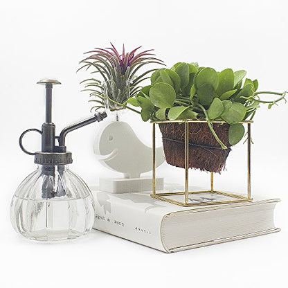 Plant Mister, Glass Watering Spray Bottle with Bronze Top Pump 6.5" Tall Decorative Mister for Plants and Flowers Small Watering Can for Indoor Potted Plants & Terrariums - Clear