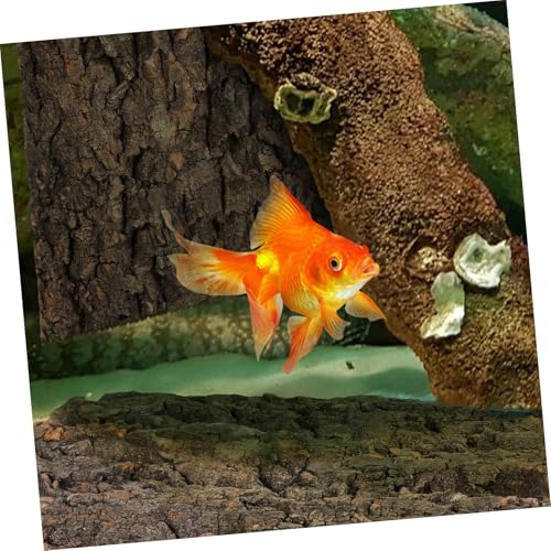 Abaodam 2 Pcs Natural Cork Bark Reptile Decor for Fish Tank Landscaping Climbing Background for Bearded Dragon Gecko and Aquarium Terrarium Safe and Sturdy Micro Landscape Branches