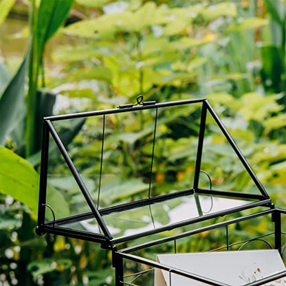 NCYP Glass Terrarium with Lid for Cacti, Succulents, Small Plants - 7.5 x 4.9 x 9 inches Closed Geometric Planter Box - Home Indoor Tabletop House Shape Decorative, Black (Terrarium Only)