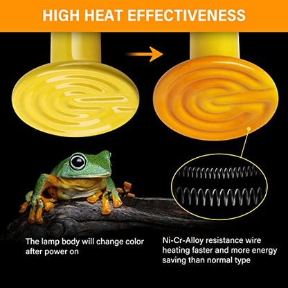 Simple Deluxe 150W 2-Pack Ceramic Heat Emitter Reptile Heat Bulb No Light, LCD Digital Aquarium Thermometer, for Reptile Amphibian, 2 Pack, Yellow - color: Yellow, size: 2 Pack