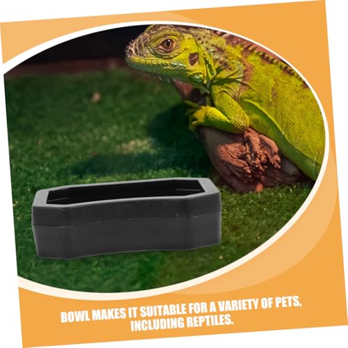 BESPORTBLE 20pcs Reptile Water and Food Dish Feeding Bowls for Lizards Geckos and Other Reptiles for Water and Food Pet Terrariums