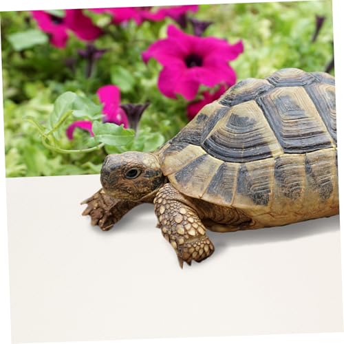 Washable Reptile Carpet Terrarium Mat for Bearded Dragon Snake Lizard Tortoise Leopard Gecko Soft Substrate Bedding Liner Light Beige