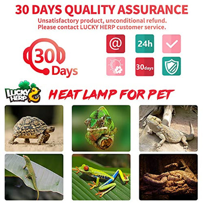 LUCKY HERP 50W Reptile Heat Lamp Bulbs 2 Pack, Reptiles & Amphibians Infrared Basking Spot Lamp, Heat Light Bulb for Turtle, Bearded Dragon, Lizard - color: Infrared Basking Light Bulb, size: 50 Watts