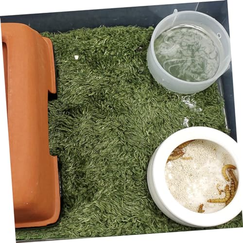 Sosoport Reptile Moss Carpet Mat Comfortable and Absorbent Tortoise Bedding for Terrariums for Amphibians and Reptiles Soft Material Moisture Retaining Fake Lawn