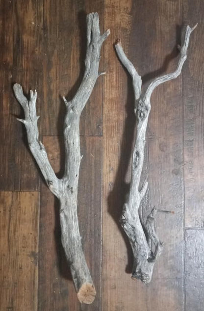 2 Pieces Natural Manzanita Ghostwood Branches - 18-20 Inches - Assorted Decorative Driftwood for Aquarium, Terrarium, and Home Decor