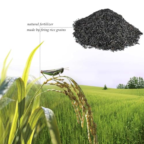 Horticultural Charcoal, Rice Husk Natural Activated Charcoal for Plants Indoor Biochar Soil Amendment Organic for Terrariums - 2.2 lbs