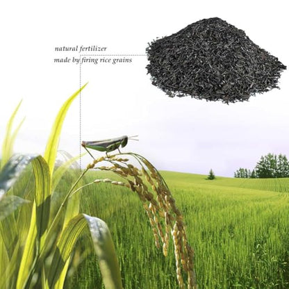 Horticultural Charcoal, Rice Husk Natural Activated Charcoal for Plants Indoor Biochar Soil Amendment Organic for Terrariums - 2.2 lbs