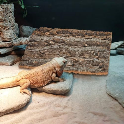 5 Pack Cork Bark 12" L x 8" W Cork Barks for Reptiles Natural Bird Perch Boards Reptile Climbing Mat Wall Terrarium Decor for Birds Turtle Lizard Beared Dragon Chameleon Snake