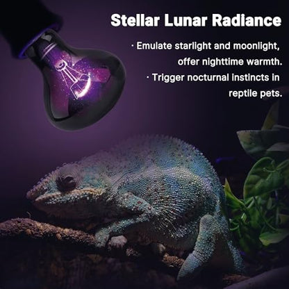 60W Reptile Night Light Bulb, UVA Heat Lamp - Simulate Natural Moonlight, Purple Basking Lamp for Bearded Dragon, Lizard - color: Purple-moonlight Heat Lamp, size: 60 Watts