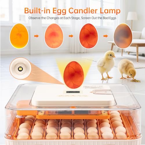 56 Egg Incubator for Hatching Eggs–Smart Auto Turner & Humidity Control, 360° View, Built-in Candler |Hatching Kit with Chick Helmet for Chicken, Duck, Quail | Ideal for Home & Classroom