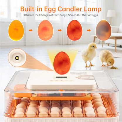 56 Egg Incubator for Hatching Eggs–Smart Auto Turner & Humidity Control, 360° View, Built-in Candler |Hatching Kit with Chick Helmet for Chicken, Duck, Quail | Ideal for Home & Classroom