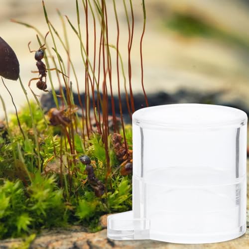 Ant Water Feeder Bowl with Separate Feeding Port Transparent Acrylic Mini Water Dish for Ants Nest Hydration and Nature Observation 1.53X1.29X1.18 Inch 2 Pack