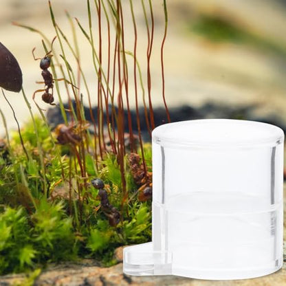 Ant Water Feeder Bowl with Separate Feeding Port Transparent Acrylic Mini Water Dish for Ants Nest Hydration and Nature Observation 1.53X1.29X1.18 Inch 2 Pack