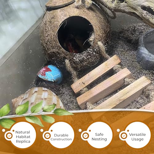 Hermit Crab, Hamster Coconut Cave Hide with Ladder, Reptile & Snake Natural Coco Shell Hut Hideout, Gerbils Mice Small Animals House Pet Cage Habitat Decor, with Sticky Wall Hook - style: Large