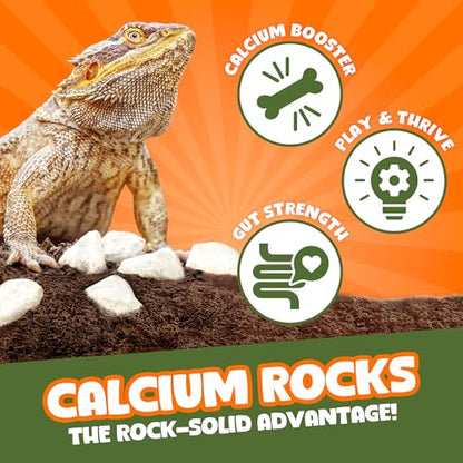 Meric CoCoo Mineral Rocks for Leopard and Crested Geckos, Reptile Enrichment, Terrarium Decor, with Lime, Calcium, and Trace Elements, 2 oz.