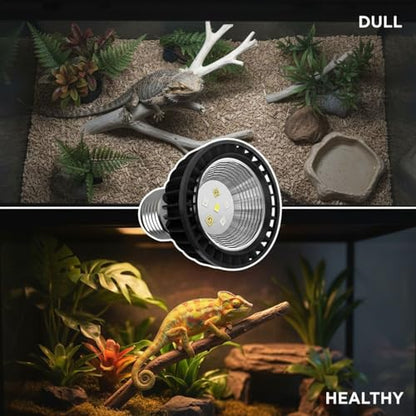 UVB 5.0 Reptile Light Bulb, 3 W Full Spectrum UVA UVB Lighting for Reptile Pets, E27 Base, Supports Vitamin D3 Synthesis, Aluminum Shell, Energy Saving, 2.8 x 2.4 x 2.4 in