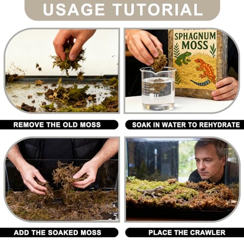 Sphagnum Moss for Reptiles, 1.1LB Terrarium Reptiles Moss Green Dried, Moss Bedding for Turtles, Frogs, Snake, Gecko Reptile Substrate (1.1 LB)