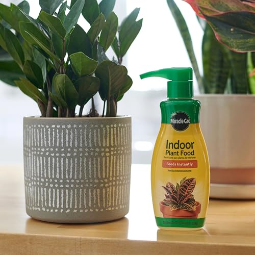 Houseplant Food, 8.4-oz. Pack of 3 - size: 3 Pack