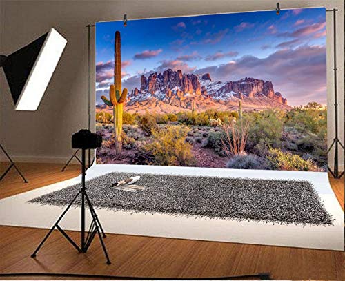 Leyiyi 7x5ft Arazona Mountain Cactus Photography Background Desert Sunset Summit Western American Travel Hiking Desert Flora Cloud Desolate Cowboy Polyester Backdrop Terrarium Background - color: Desert1, size: 7x5ft-P