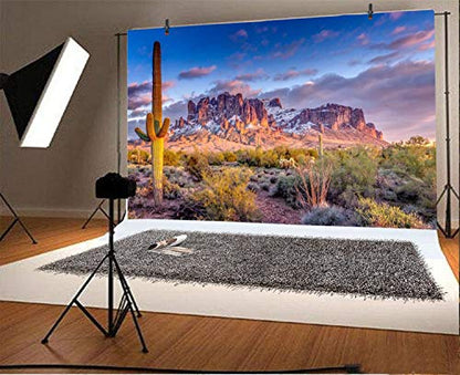 Leyiyi 7x5ft Arazona Mountain Cactus Photography Background Desert Sunset Summit Western American Travel Hiking Desert Flora Cloud Desolate Cowboy Polyester Backdrop Terrarium Background - color: Desert1, size: 7x5ft-P