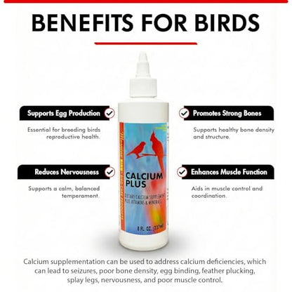 Morning Bird Calcium Plus Liquid for Birds – Calcium Supplement with Vitamins and Minerals for Strong Eggshells, Healthy Bones - Support Growth, Breeding, and Wellness for All Birds 8 Fl Oz - size: 8 Fl Oz