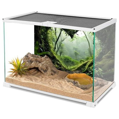 AWERT 72x24 inches Polyester Tropical Rainforest Terrarium Background Stream Green Huge Tree Reptile Habitat Background Foggy Rainforest Aquarium Background - size: 72x24in/180x60cm