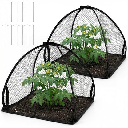 DECOHS 2 Pcs Pop-Up Mesh Plant Cover Tent, 22 x 22 x 22 Inch Garden Net Cage Guard Cover, Plant Protector Enclosure with 12 Ground Stakes for Protecting Plants Vegetable Fruit from Birds Insects - color: 22 x 22 x 22 inch