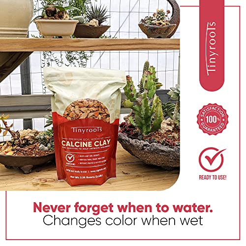 Tinyroots Clay Soil for Plants, 2.25 Quart Bag, Bonsai Tree Soil Additive, Turface Clay Holds Moisture, Provides Drainage and Aids in Root Development (Pack of 2) - size: 2.25 Quarts (Pack of 2)