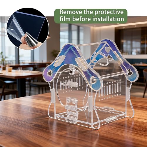 Mushroom Jumping Spider Enclosure Kit, 3mm Acrylic Habitat Tank with Magnetic Feeding Door & Lock, No-Tool Assembly for Jumping Spiders, Mantis, Small Tarantulas