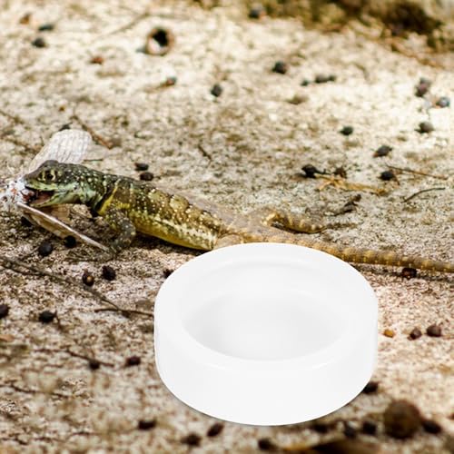 Ciieeo Reptile Food and Water Bowls Stable Desktop Standing Ceramic 2 Pcs Anti-Escape Design, Round Feeding Dishes for Lizards and Small Reptile Animals for Terrarium Use