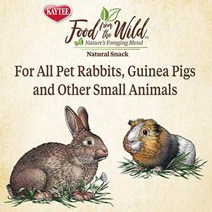 Kaytee Food from The Wild Natural Snack for Pet Rabbits, Guinea Pigs and Other Small Animals, 1 Ounce (Pack of 2) - size: 1 Ounce (Pack of 2)