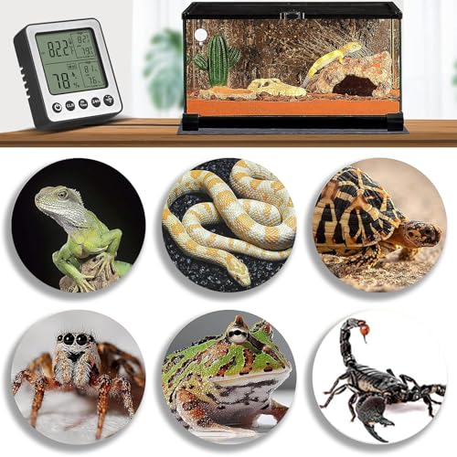 Digital Dual Channel Thermometer Hygrometer, Detachable Temp-Only Probe, 24H & All-Time Min Max Memory Fridge Reptile Tank Wine Cellar Greenhouse Garage Bedroom zz20 White 1 Pack - color: White, size: h1