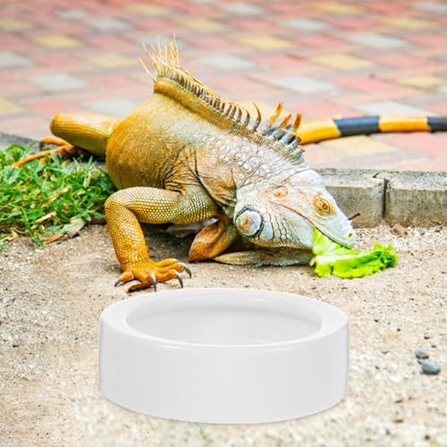 2 Pcs White Ceramic Reptile Feeding Bowls Anti-Escape Design Space Saving Round Lizard Food and Water Dish Suitable for Small Reptile Animals