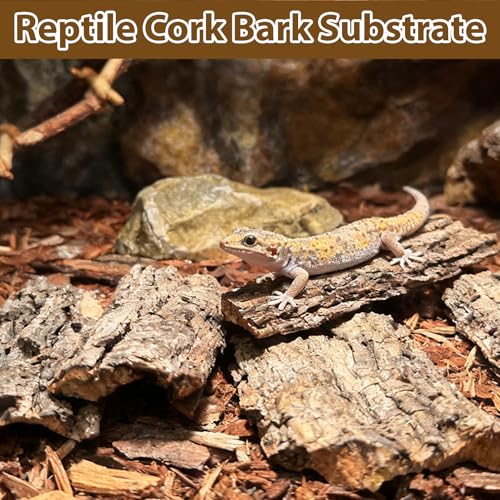 Reptile Cork Bark Substrate,1.5 LB Natural Tree Bark for Terrarium Wood Gecko Climbing Bark Bedding Bulk Habitat Decor for Bearded Dragon Spider Lizard Tarantula Hermit Crab - size: 【1.5 LB】