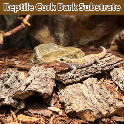 Reptile Cork Bark Substrate,1.5 LB Natural Tree Bark for Terrarium Wood Gecko Climbing Bark Bedding Bulk Habitat Decor for Bearded Dragon Spider Lizard Tarantula Hermit Crab - size: 【1.5 LB】
